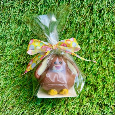 Bovetti_Kleiner Hase mit Schlappohren_Ostern2025